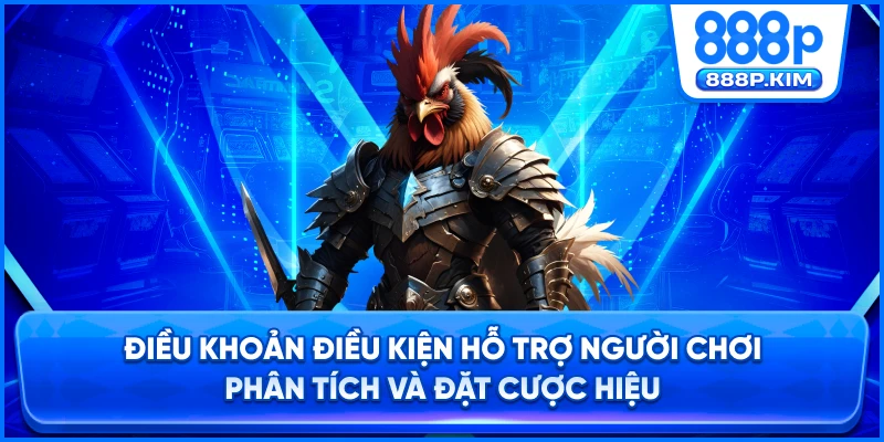 Điều khoản điều kiện hỗ trợ người chơi phân tích và đặt cược hiệu quả.